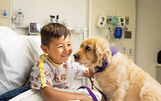 5 Ways Animal Hospitals Support Pets With Special Needs